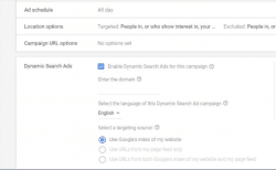 קמפיין מודעות דינמיות ברשת החיפוש
